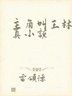 主角叫王林的修真小说