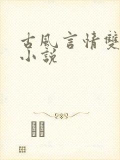 古风言情双男主小说封面