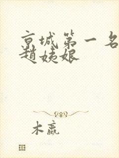 京城第一名媛 赵姨娘