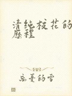 清纯校花的调教历程