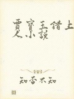 贾宝玉错上王夫人小说