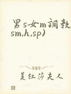 男s女m调教(sm,h,sp)