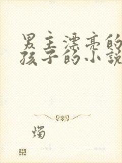 男主漂亮的像女孩子的小说