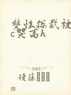 双性总裁被警察c哭高h