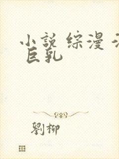 小说 综漫 淫 巨乳