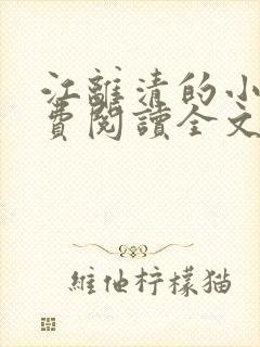 江离清的小说免费阅读全文