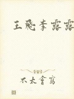 王飞李露露小说封面