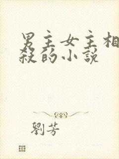 男主女主相爱相杀的小说封面