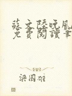 苏文陆晚风小说免费阅读笔趣阁