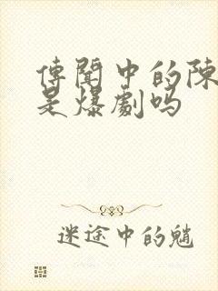 传闻中的陈芊芊是爆剧吗