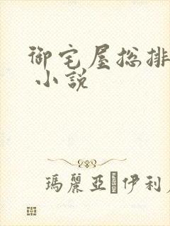 御宅屋总排行榜 小说