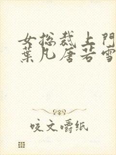 女总裁上门女婿叶凡唐若雪封面