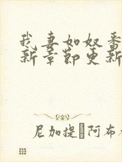 我妻如奴番外最新章节更新