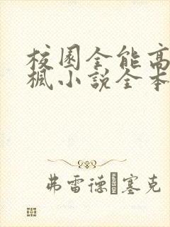 校园全能高手季枫小说全本txt封面