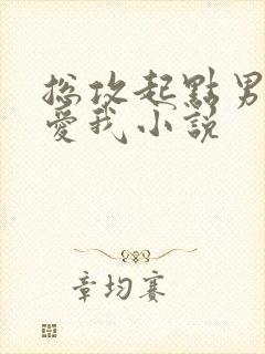 总攻起点男主都爱我小说