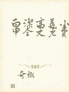 白洁高义小说王申全文免费笔趣阁阅读