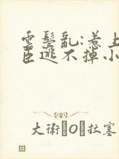 云鬓乱:惹上奸臣逃不掉小说免费阅读