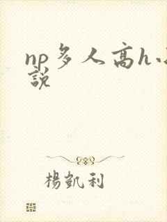 np多人高h小说