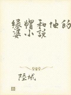 绿帽和他的骚老婆小说