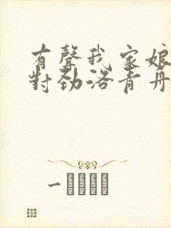 有声我家娘子不对劲洛青舟小说