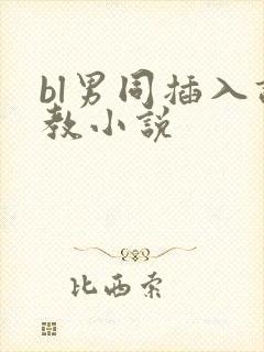 bl男同插入调教小说