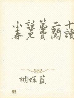 小说第二十八年春免费阅读