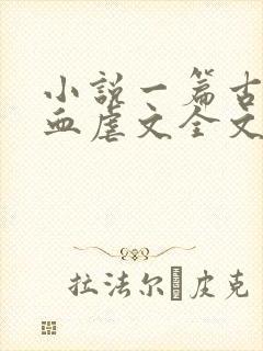 小说一篇古早狗血虐文全文免费阅读封面