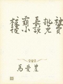 校霸长批被发现后小说免费阅读封面