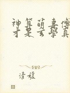 神算萌妻傅太太才是玄学真大佬小说