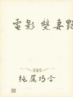 电影 双妻艳史封面