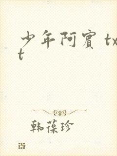 少年阿宾 txt封面