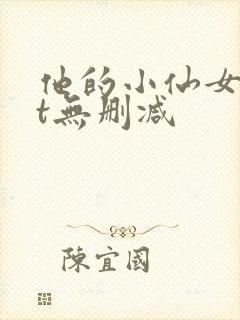 他的小仙女txt无删减封面