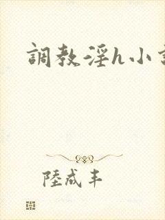 调教淫h小说封面