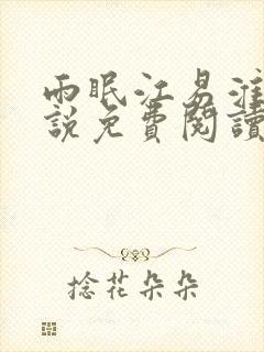 雨眠江易淮的小说免费阅读