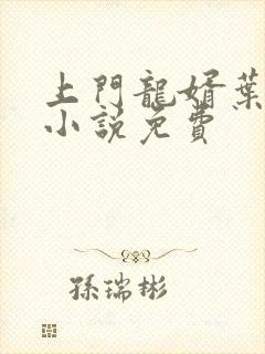 上门龙婿叶公子小说免费