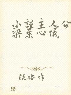 小说主人公叫乔梁叶心仪