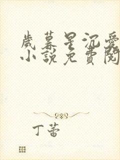 岁暮星沉爱已迟小说免费阅读全文无弹窗封面