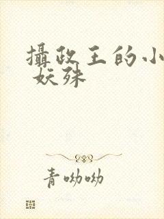 摄政王的小闲妻 妖殊