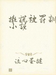 撒谎被罚训诫文小说封面