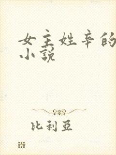 女主姓辛的现代小说