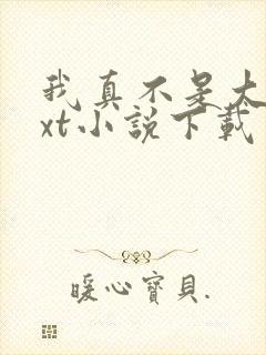 我真不是大佬txt小说下载