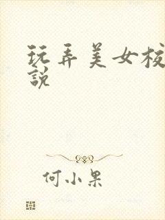 玩弄美女校花小说