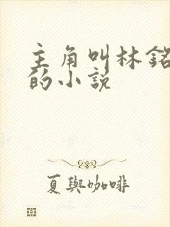 主角叫林铭陈佳的小说