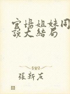 官场姐妹同夫小说大结局