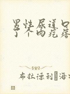 男性尿道口上长了个肉疙瘩怎么回事