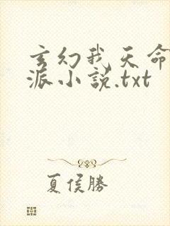 玄幻我天命大反派小说.txt