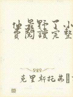 他最野了小说免费阅读完整版无弹窗