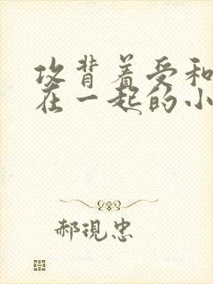 攻背着受和攻二在一起的小说叫什么