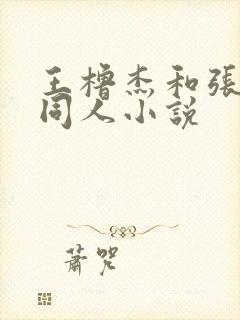 王橹杰和张桂源同人小说封面