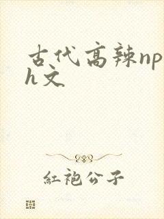 古代高辣np肉h文